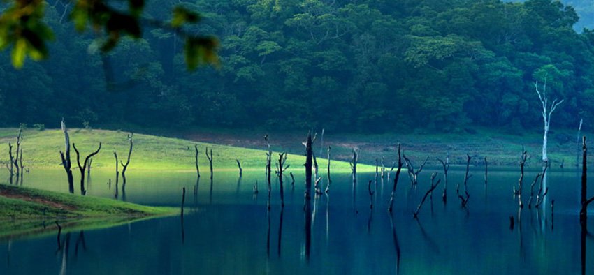 thekkady tour